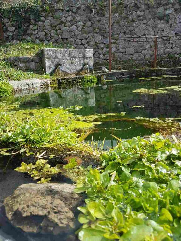 Apartman Nikocevic Добра Вода Екстер'єр фото